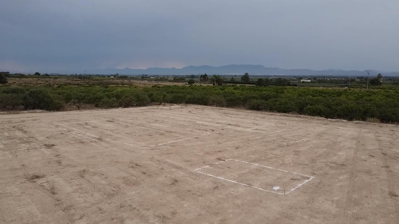 Land for sale in Elche, Costa Blanca